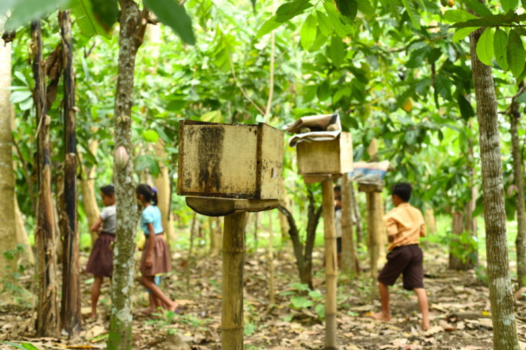 Anak-anak di perkampungan adat Desa Beleq, masih tetap bermain seperti biasa. Orang ke kebun atau bertani, seperti biasa… Foto: Fathul Rakhman/ Mongabay Indonesia