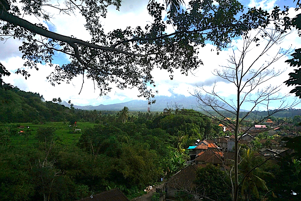 Gunung Agung yang sedang erupsi tertutup awan, terlihat jelas dari rumah pohon Lemped, Desa Peladung, Padangkerta, Karangasem, Bali ini. Foto: Luh De Suriyani/Mongabay Indonesia.