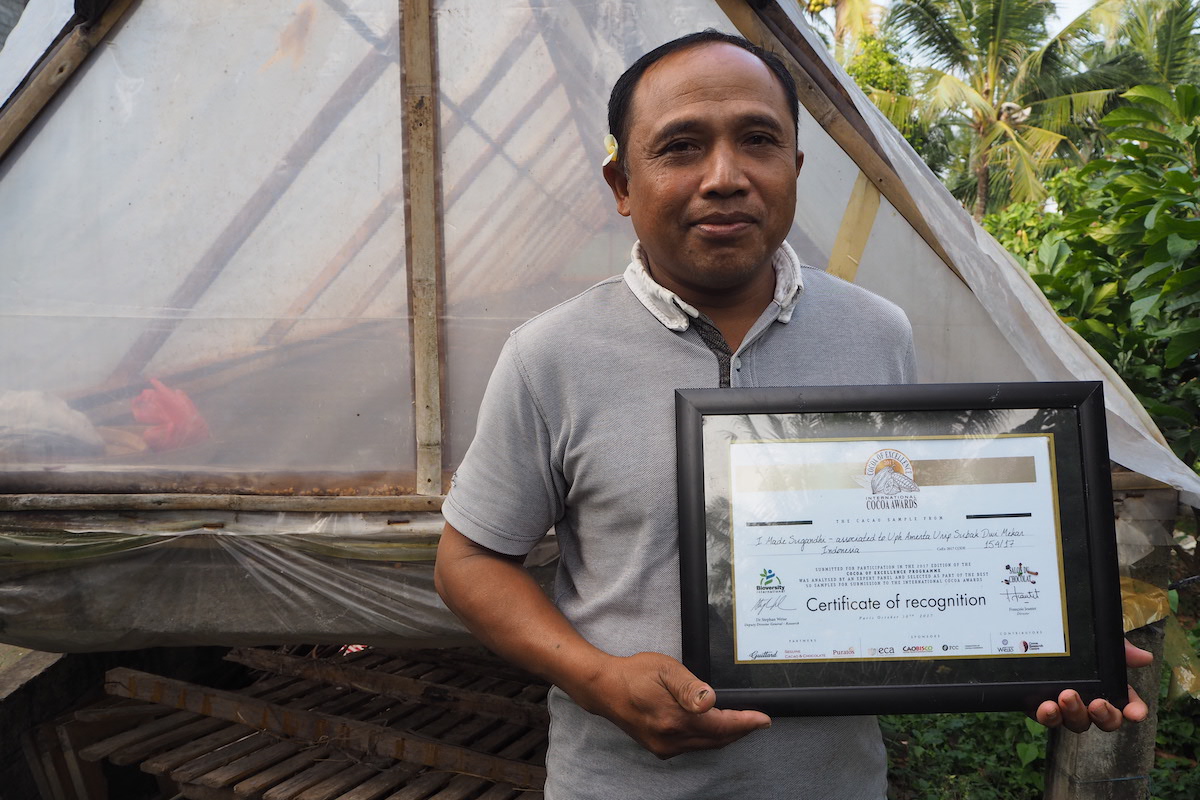 I Made Sugandi petani kakao di Jembrana, Bali, menunjukkan penghargaan Cacao of Excellence | Foto: Anton Muhajir/Mongabay Indonesia