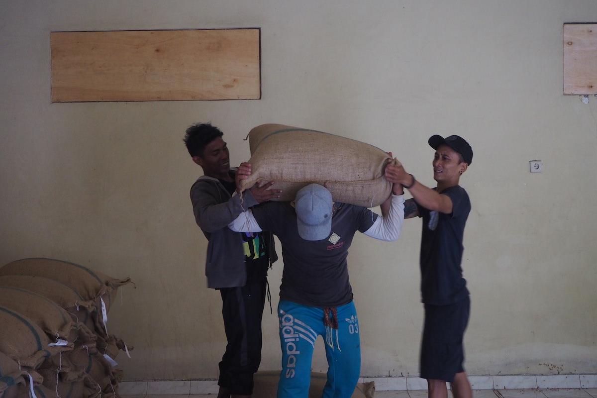 Petani kakao fermentasi Jembrana langsung menjual ke pembeli akhir, sehingga mendapatkan harga jual yang tinggi | Foto: Anton Muhajir/Mongabay Indonesia