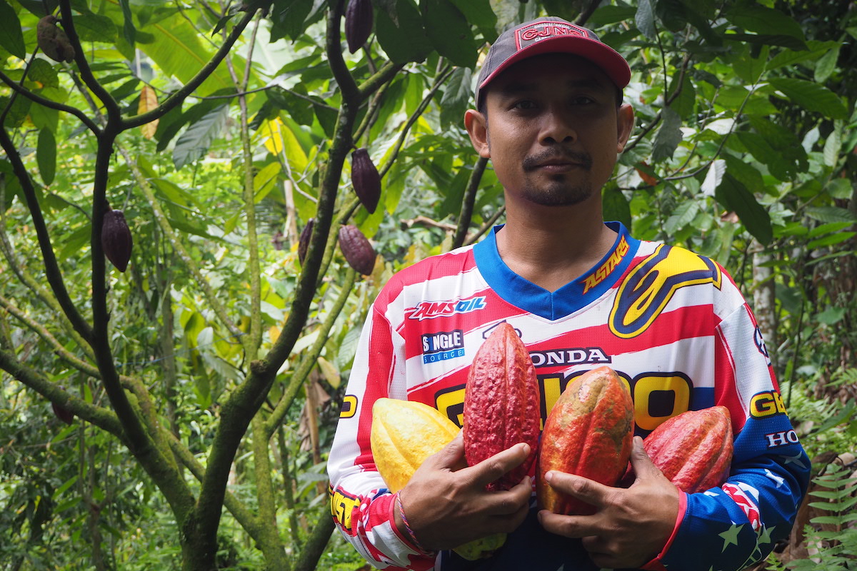 Petani kakao fermentasi Jembrana bangga dan sejahtera dengan produk pertanian mereka | Foto: Anton Muhajir/Mongabay Indonesia