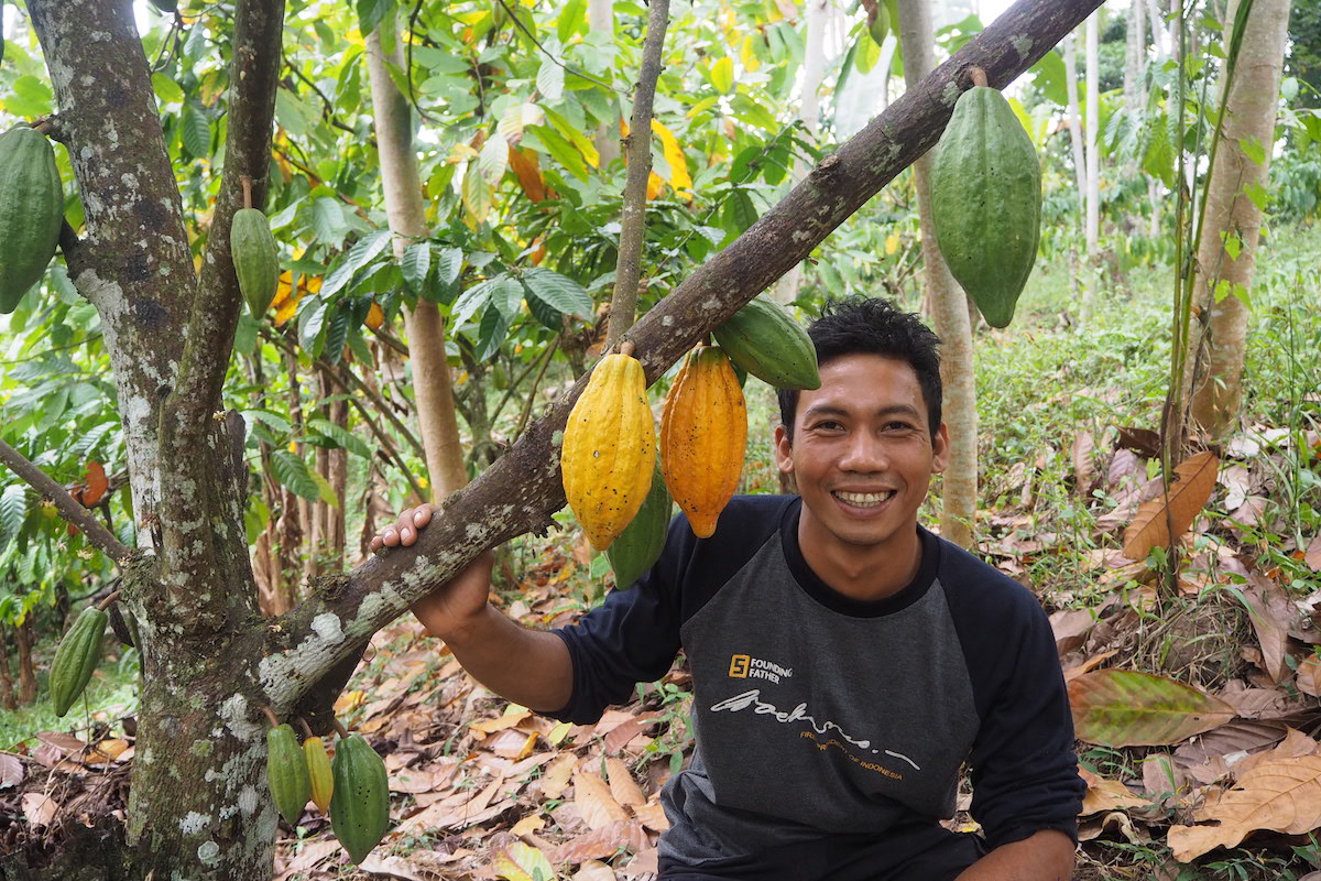 Sindu Yoga salah satu petani muda di Jembrana mengaku memiliki masa depan lebih cerah melalui pertanian kakao | Foto: Anton Muhajir/Mongabay Indonesia