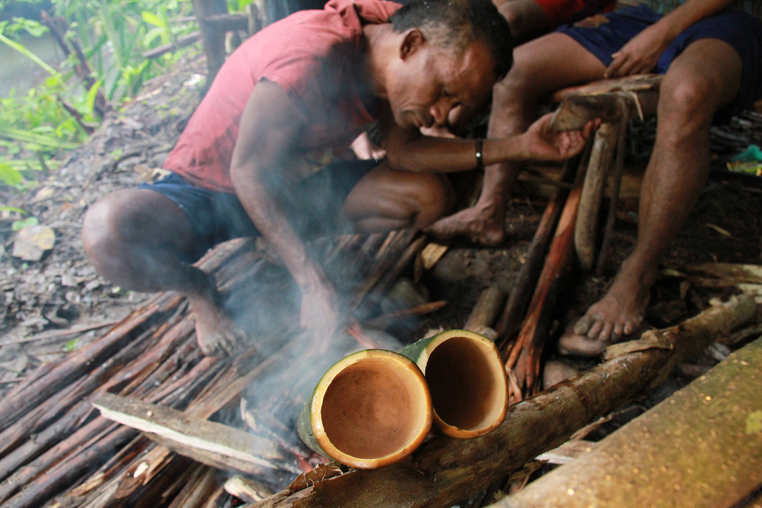 Proses masak di dalam bambu orang Tobelo di hutan Halmahera. Foto: Faris Bobero/ Mongabay Indonesia