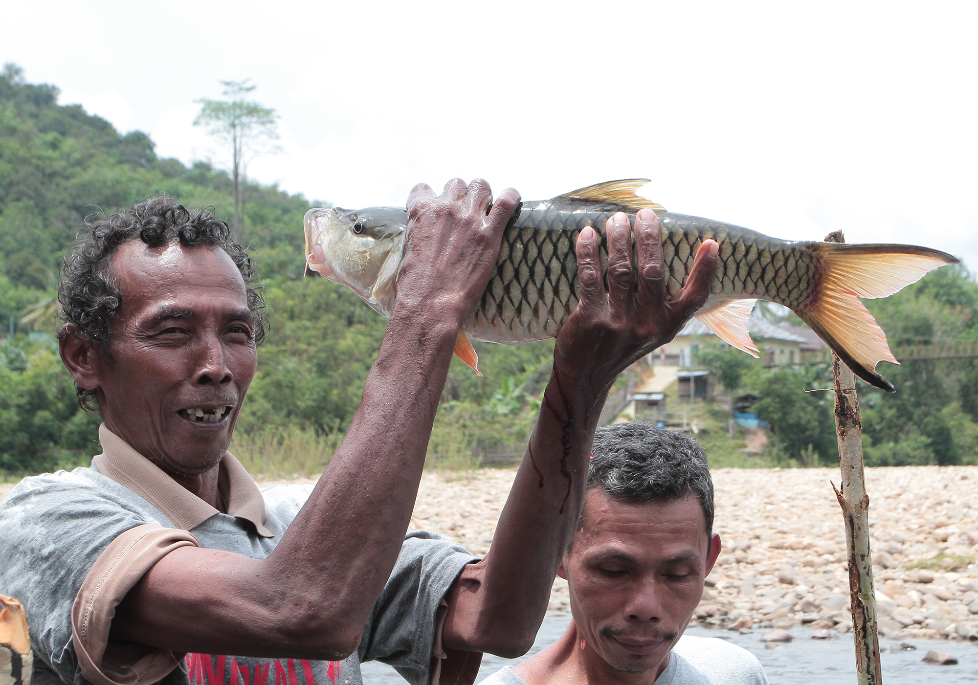Warga menunjukkan ikan hasil dari mancoaku di Desa Aur Kuning, Kampar, Riau. Foto : Agustinus Wijayanto/Mongabay Indonesia