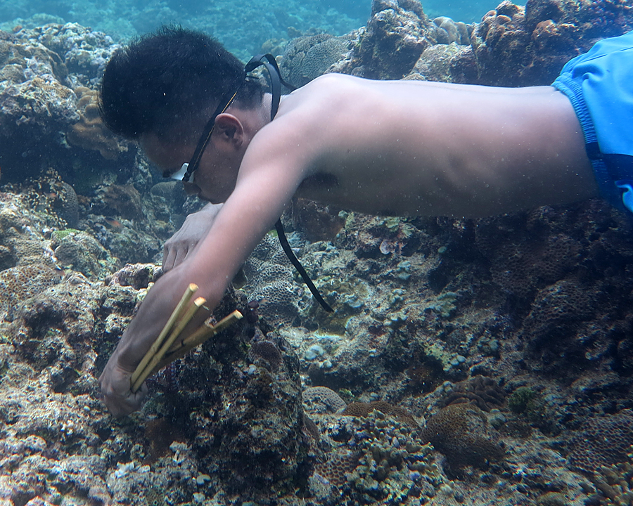 Dedy, menangkap gurita dengan peralatan sederhana di perairan Pulau Siau, Kabupaten Kepulauan Siau Tagulandang Biaro. Sulut. Foto: Anton Wisuda/Mongabay Indonesia