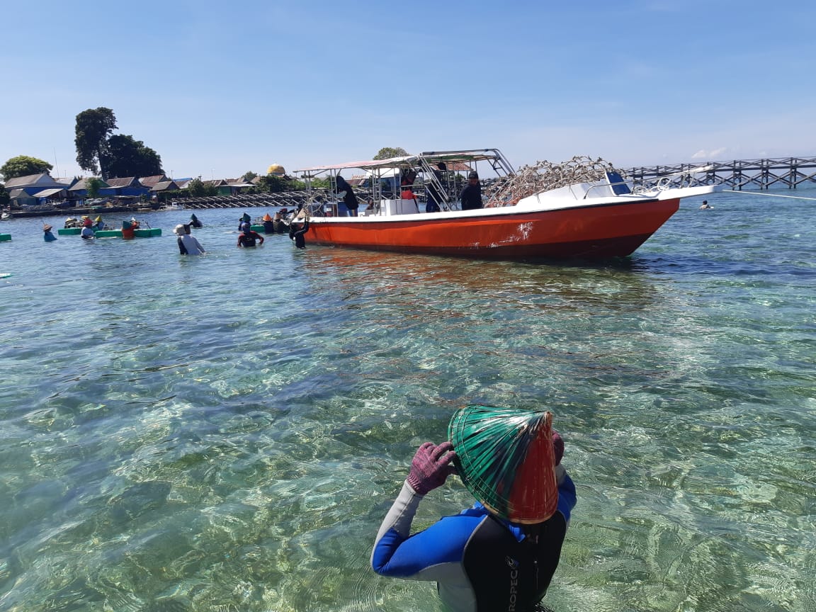 Masyarakat Pulau Bontosua turut terlibat dalam penanaman terumbu karang menggunakan metode spider. Selain turut menanam, mereka juga menjaga kesehatan terumbu karang tersebut, khususnya dari ancaman penggunaan bius untuk menangkap ikan dari nelayan-nelayan lain. Foto. Wahyu Chandra/Mongabay Indonesia.