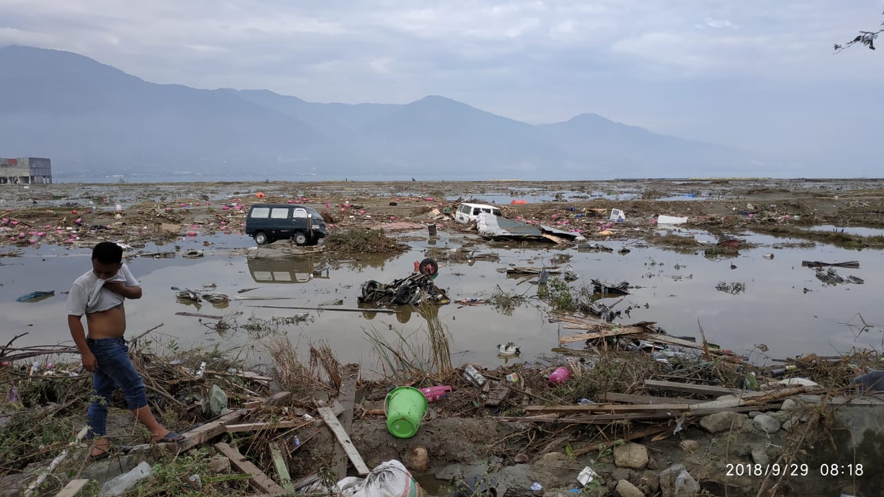 Apa Yang Terjadi Dengan Satwa Laut Saat Tsunami Terjadi