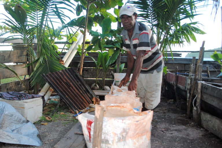 Proses pengolahan sagu di Desa Umera. Foto: Mahmud Ichi/ Mongabay Indonesia