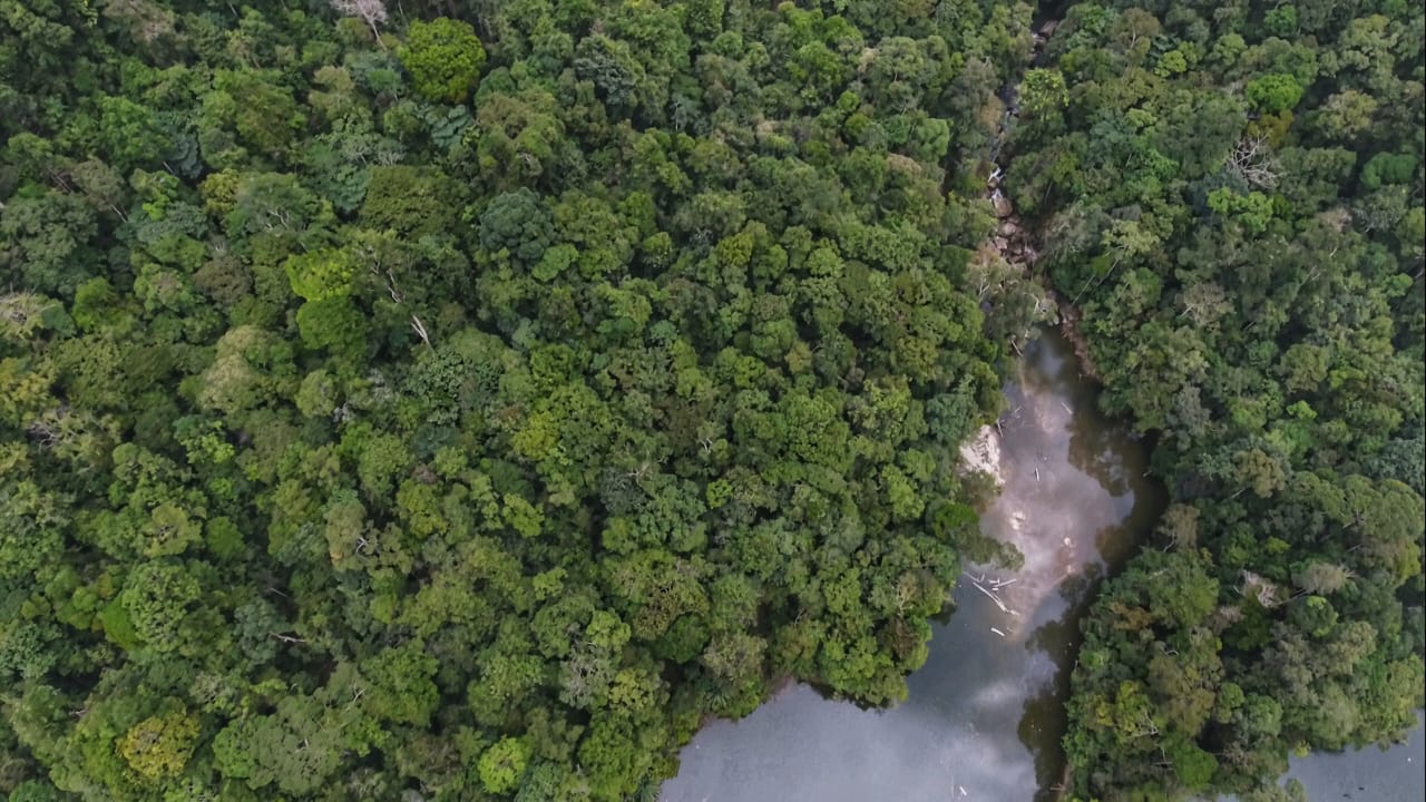 Kawasan Ekosistem Batang Toru yang menyimpan kekayaan hayati dan tempat hidup orangutan tapanuli yang tingkat kepadatan tertingginya berada di area proyek PLTA Batang Toru. Foto: Ayat S Karokaro/Mongabay Indonesia