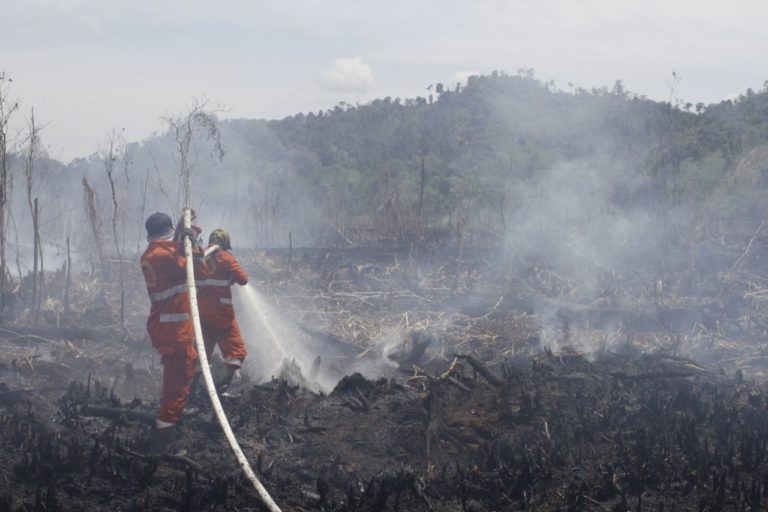 Kebakaran hutan dan lahan di Sulawesi Tenggara. Foto: Kamarudin/ Mongabay Indonesia