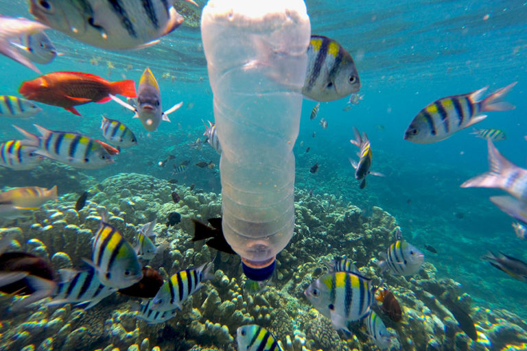 Menagih Peran Para Pihak Tangani Sampah Plastik  di Laut 
