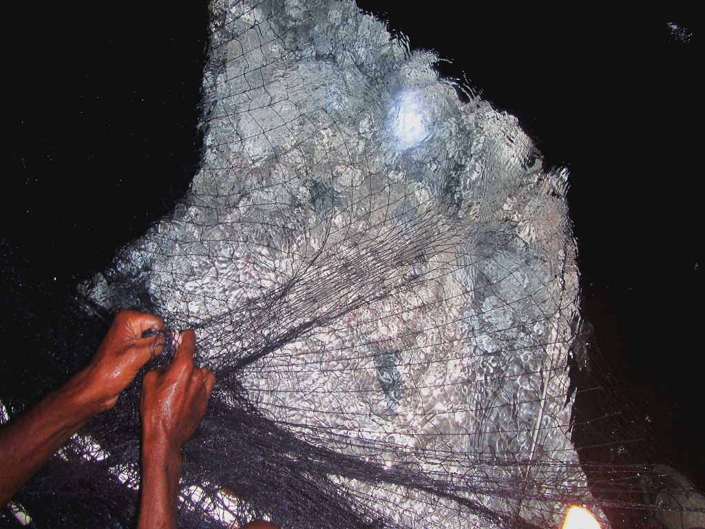 Pukat insang milik nelayan Lamakera, Solor Timur, Flores Timur, NTT, yang terkena jaring insang saat malam hari. Foto : Yayasan Misool Baseftin/Mongabay Indonesia
