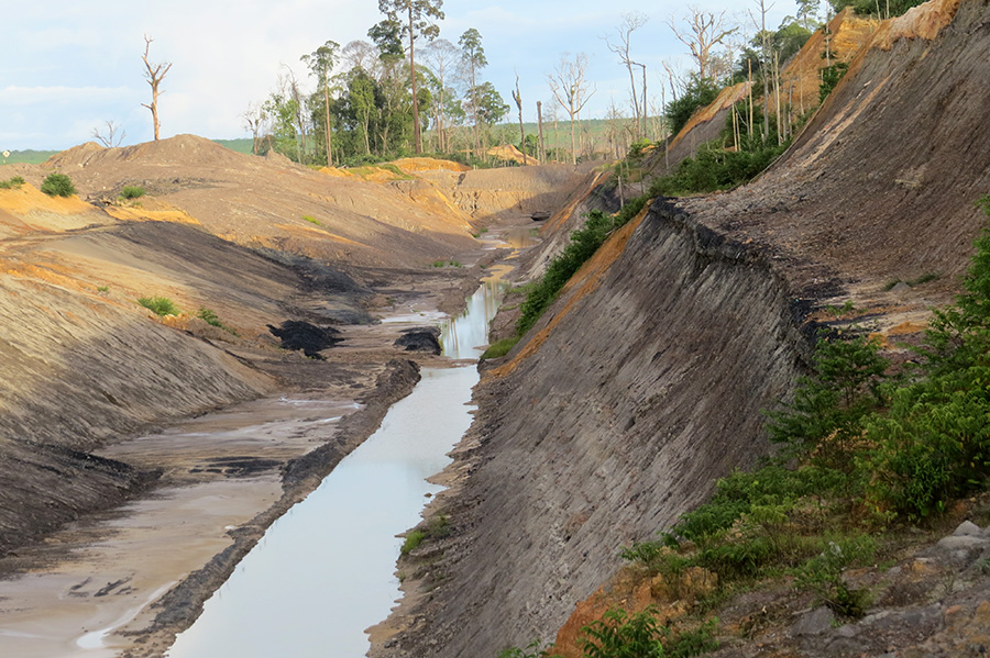 Pertambangan batubara yang berdekatan dengan habitat badak sumatera di Kalimantan Timur | Foto: Haerudin R. Sadjudin