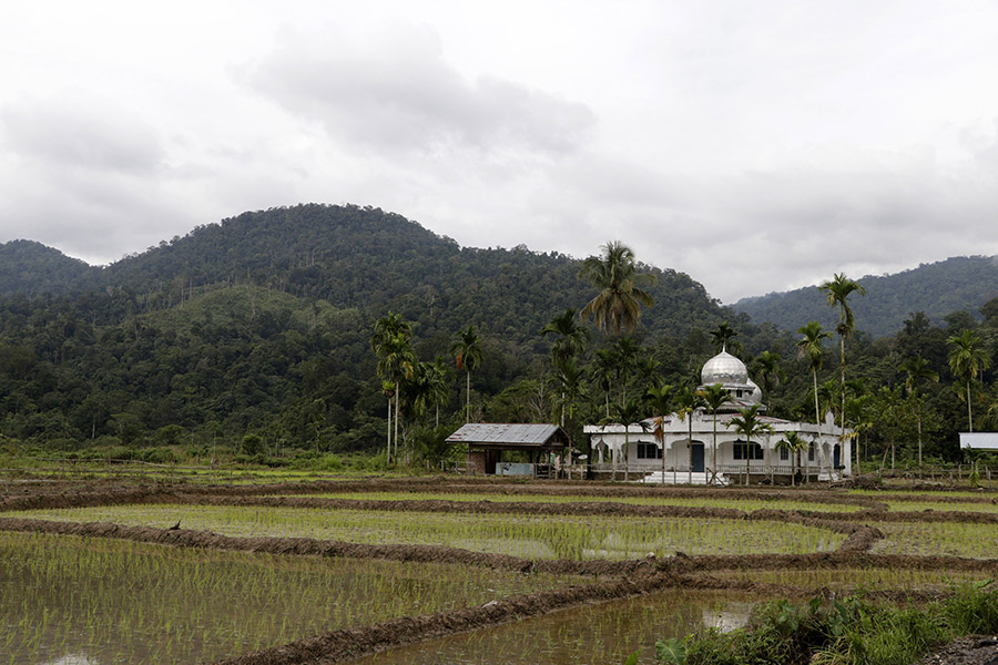Bunin, desa yang menawarkan potensi wisata alami dan kesederhanaan masyarakat. Foto: Junaidi Hanafiah/Mongabay Indonesia