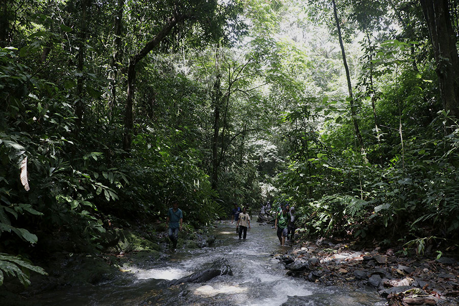 Menelusuri sungai di Bunin merupakan perjalanan menyenangkan. Foto: Junaidi Hanafiah/Mongabay Indonesia