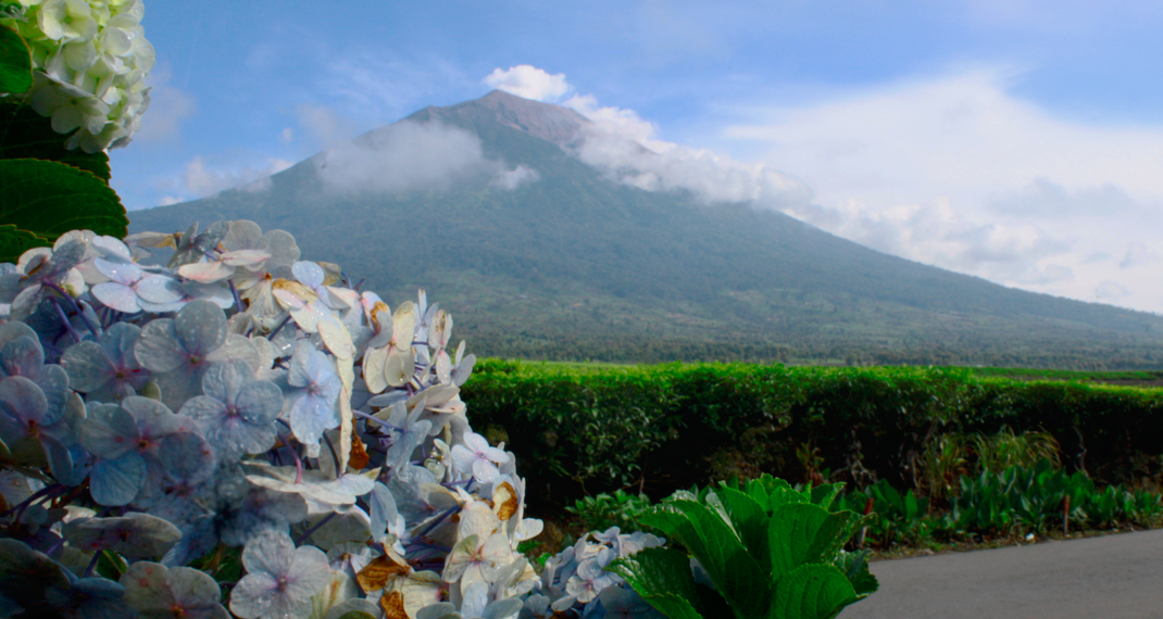 Gunung Kerinci yang indah dari Desa Kersik Tuo, Kecamatan Kayu Aro. Dok: Wildan Supriansyah/Mapala Siginjai Universitas Jambi 