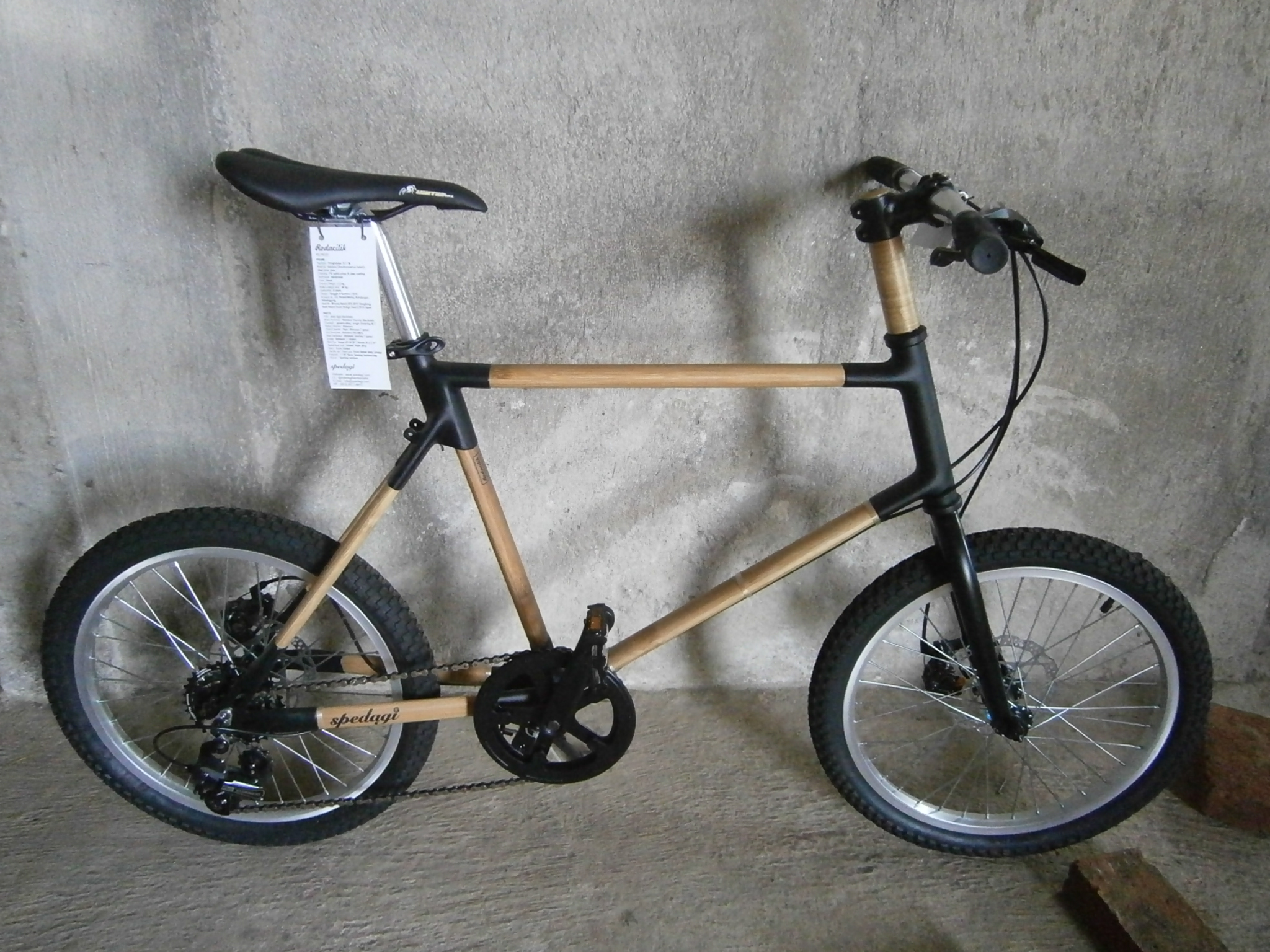 Cerita Sepeda Bambu Yang Dikayuh Jokowi Mongabaycoid