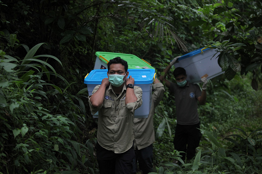 yut dan Denali serta puluhan kukang lainnya dikembalikan pulang ke habitatnya, Hutan Gunung Tampomas | Foto: IAR Indonesia