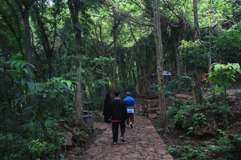 Rombongan keluarga berjalan menuju bukit rah tau yang berada di wisata akar langit. Di kawasan itu ada area jogging track yang terbuat dari tumpukan batu kapur dan papan kayu| Falahi Mubarok/ Mongabay Indonesia