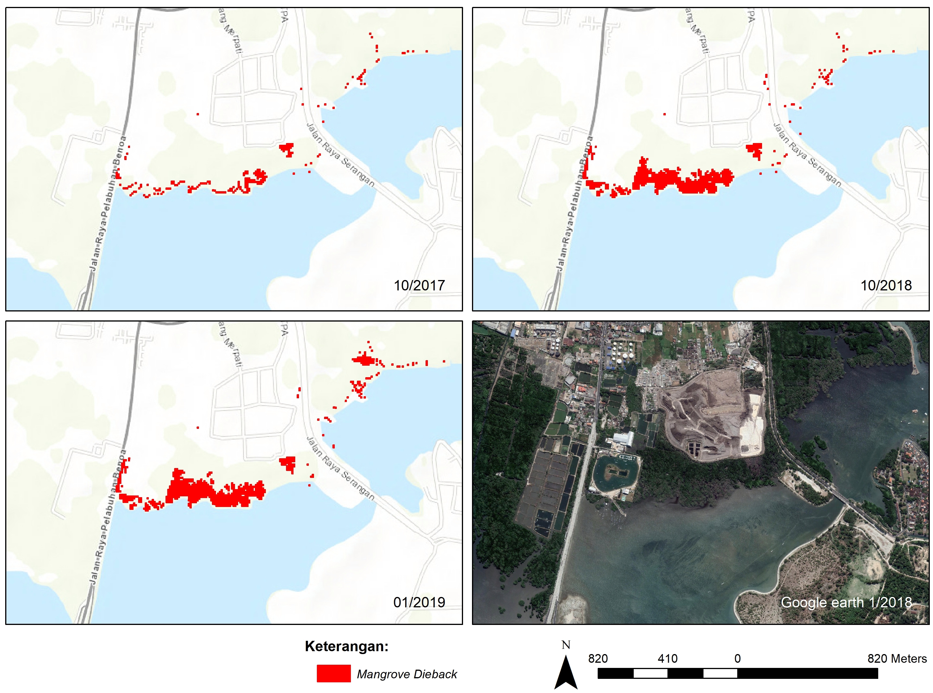 Hasil pemantauan mangrove dieback dari tahun 2017 hingga 2019 melalui citra satelit Sentinel-2. Didapati bahwa pada tahun 2017 fenomena dieback ternyata sudah terjadi di area tersebut dan setidaknya merusak 2,43 ha area mangrove disana. Pada tahun 2018, area tersebut meluas hingga 7,41 ha, kemudian pada awal Januari sudah terdeteksi menjadi 8,95 ha. Foto : Sentinel/Mongabay Indonesia