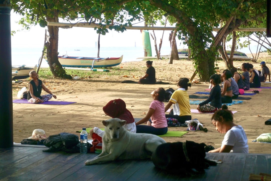 Aktivitas yoga yang bisa diikuti gratis tiap hari di Sanur, Denpasar, Bali | Foto: Luh De Suriyani/Mongabay Indonesia