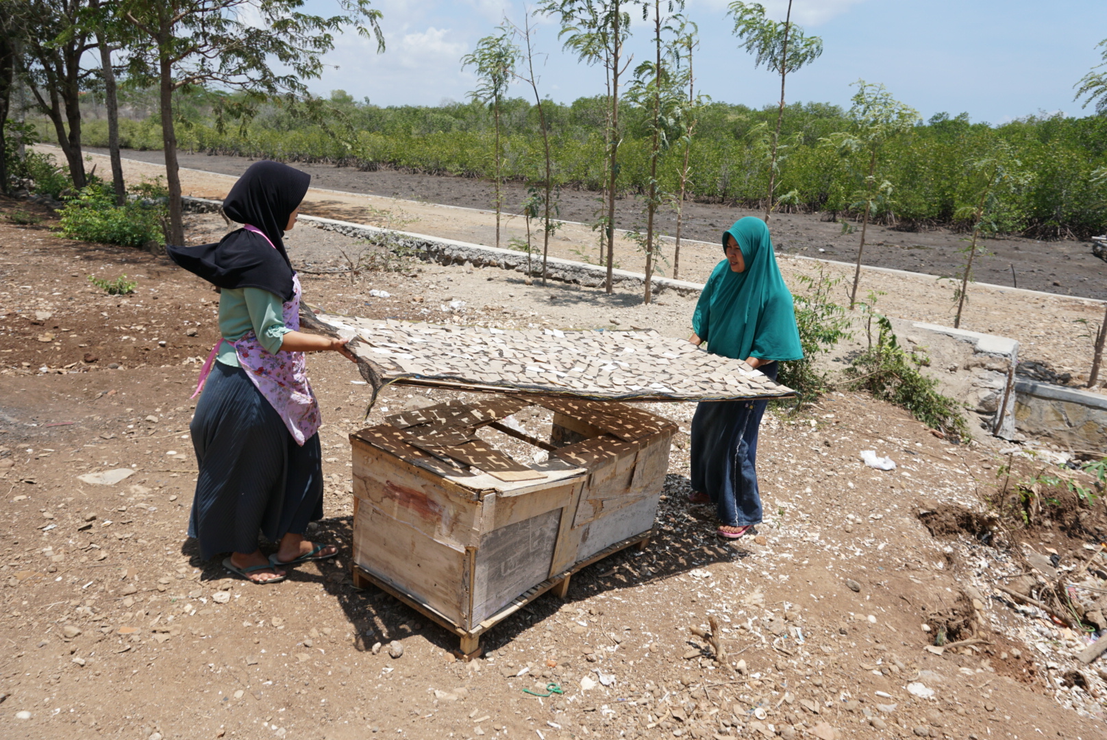 Dua perempuan Desa Paremas menjemur kerupuk cangkang kepiting. Di belakang mereka tampak hutan mangrove yang cukup lebat yang menjadi rumah bagi kepiting yang dijual ke kota. Limbah cangkang kepiting itu kini diolah menjadi kerupuk | Foto: Fathul Rakhman/ Mongabay Indonesia