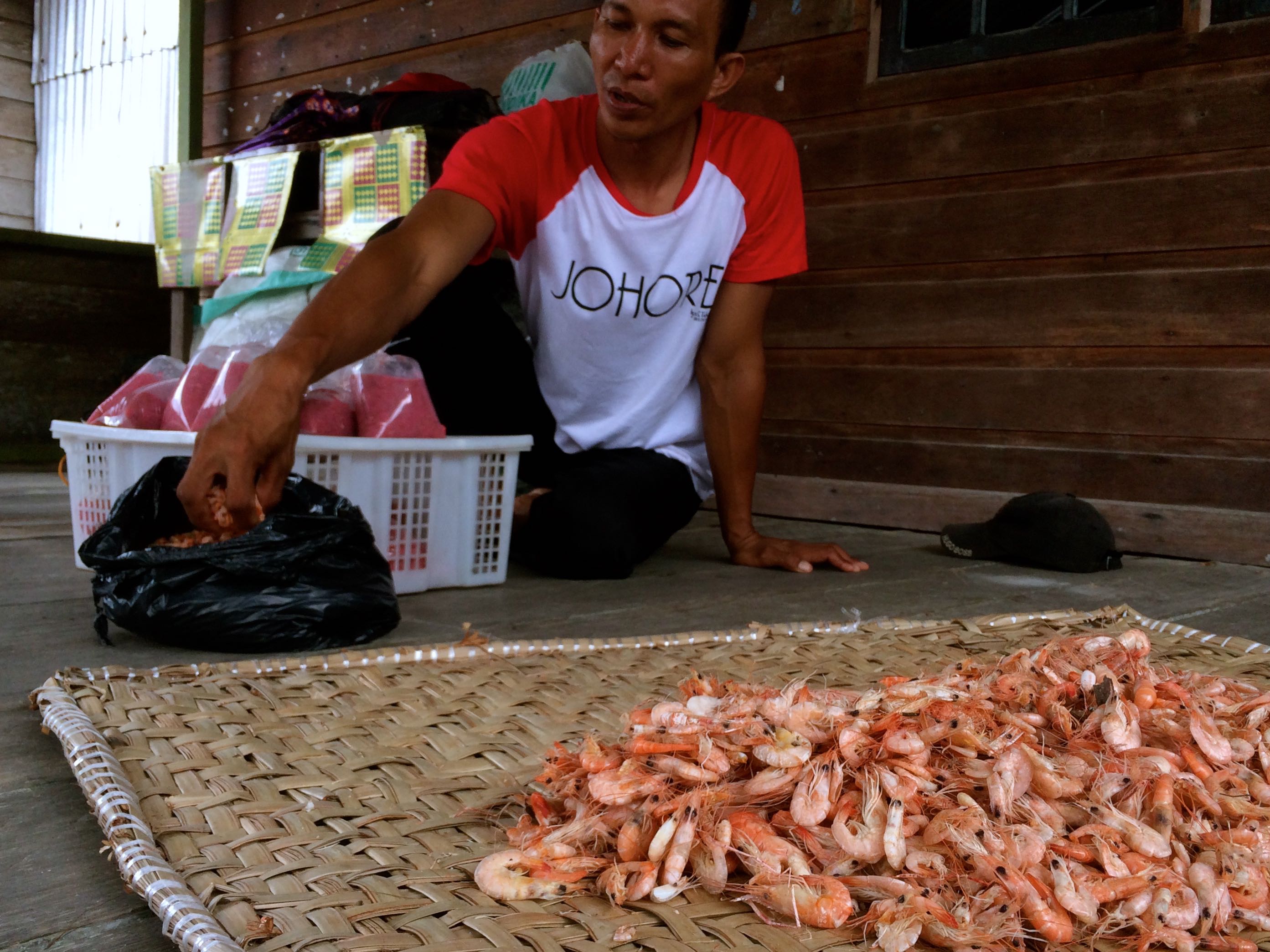 Udang sungai, hasil panen para nelayan di Sungai Anak Batang | Foto: Zamzami/Mongabay Indonesia-INFIS