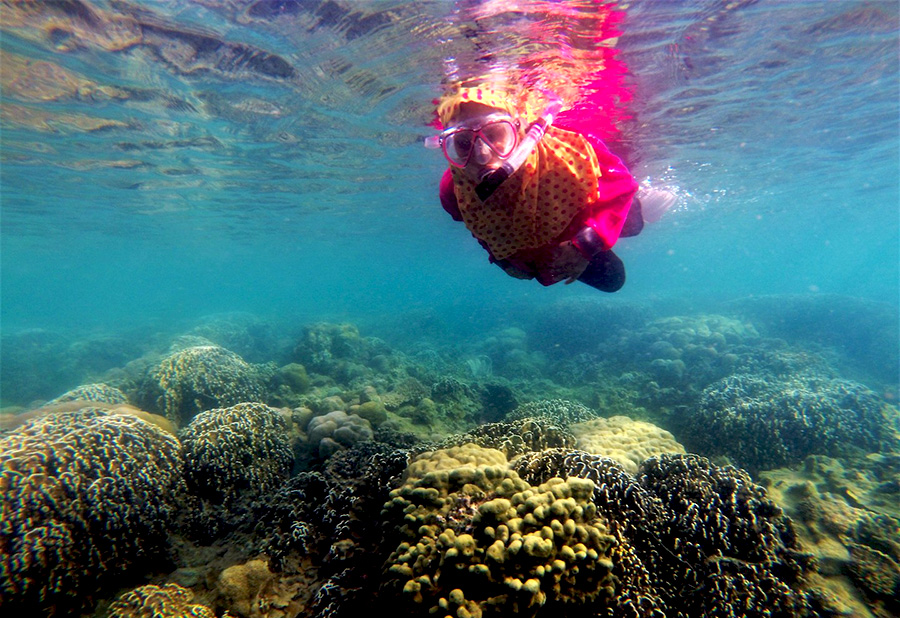 Apakah akibat pengambilan terumbu karang oleh manusia