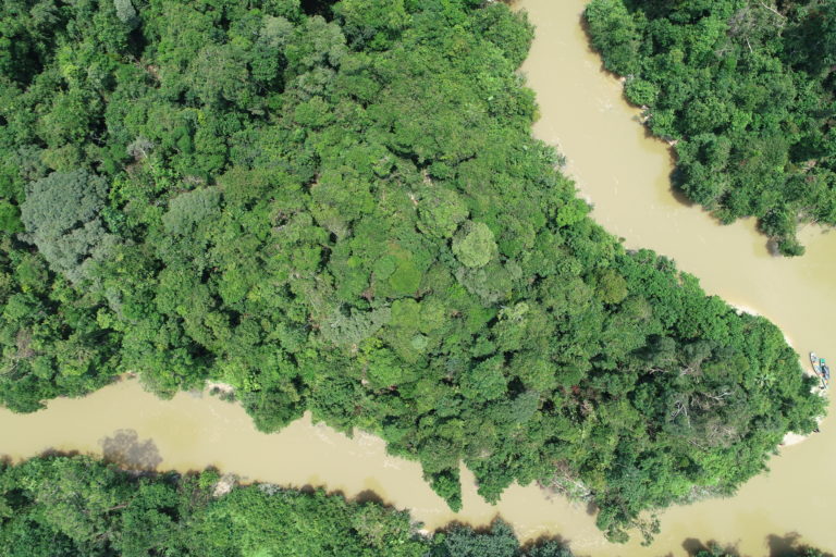 Foto udara tutupan hutan di kawasan yang diusulkan oleh perusahaan tambang batubara untuk jadi jalan tambang. Padahal, beberapa jalan lain sudah ada. Foto: dokumen Hutan Harapan