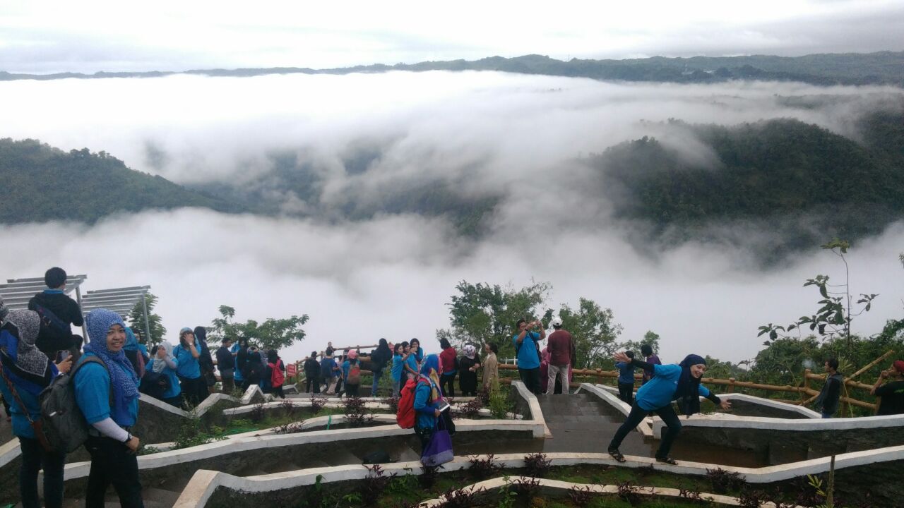 Dari tempat terbaik di ujung tebing bukit itulah foto-foto panorama alam menyebar di media sosial. Banyak anak muda berswafoto dengan latar belakang awan putih. Seolah-olah mereka berada di puncak gunung yang melebihi tingginya awan | Foto: Rujiyanti, pengelola Kebun Buah Mangunan