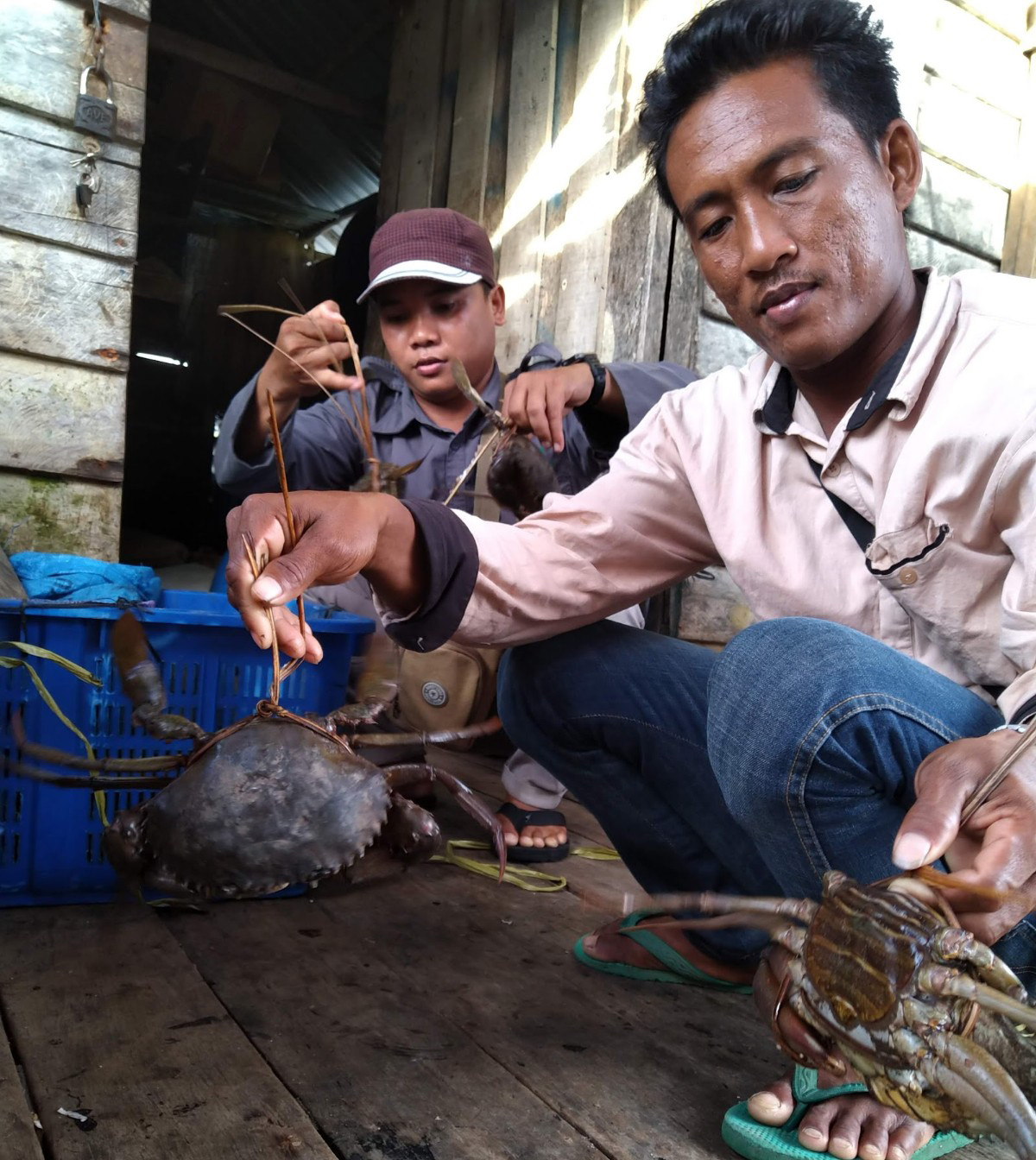 Hasil tangkapan kepiting nelayan lebih besar, setelah ada sistem buka tutup sungai | Foto: Aseanty Pahlevi/ Mongabay Indonesia