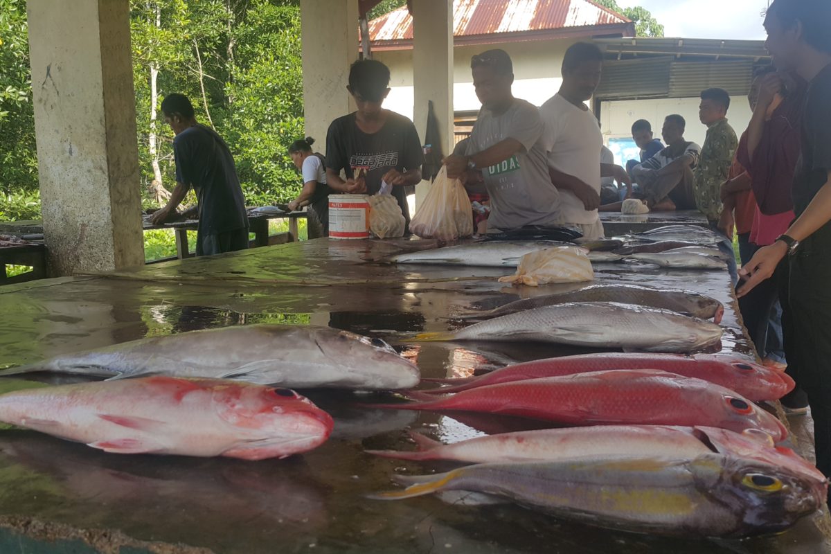 Ikan hasil tangkapan nelayan di pesisir Jawa Tengah. Foto: Tommy Apriando/ Mongabay Indonesia