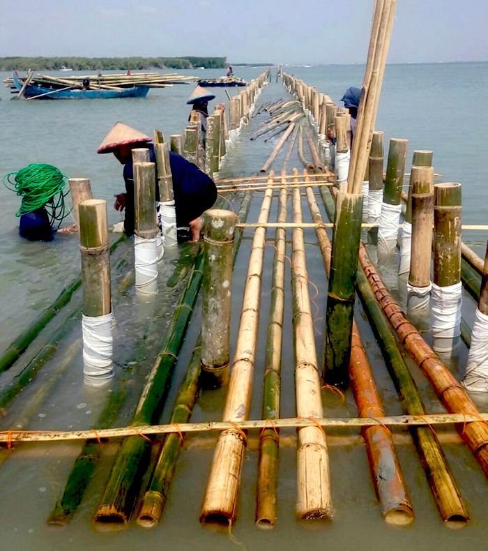 Warga secara swadaya membuat APO Jaring di Perairan Pasir Sakti Lampung Timur | Foto: Kelompok Mutiara Hijau I