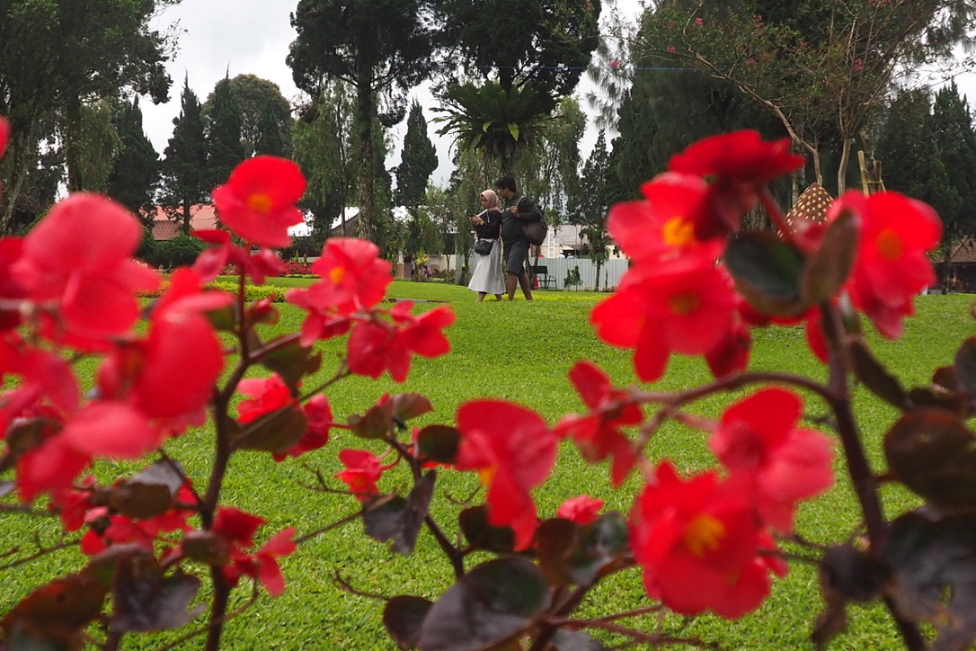 Pengunjung menikmati taman bunga di Pura Ulun Danu Beratan, Tabanan, Bali | Foto: Anton Muhajir/Mongabay Indonesia