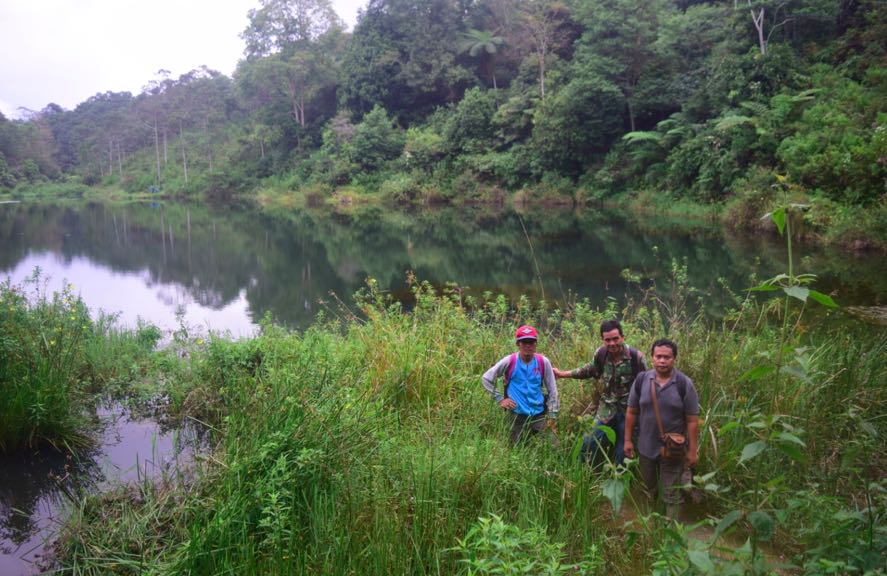 Tebat atau danau buatan milik warga Dusun Tebat Benawa. Danau ini menampung air dari mata air ringkeh yang menjadi sumber air minum bagi 234 kepala keluarga. Danau ini juga terdapat sejumlah ikan seperti ikan emas, kelik, semah dan mujahir | Foto: Nopri Ismi/Mongabay Indonesia