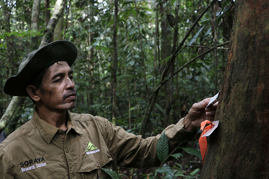 Syamsuar yang telah 26 tahun berkiprah dalam konservasi hutan Leuser | Foto: Junaidi Hanafiah/Mongabay Indonesia