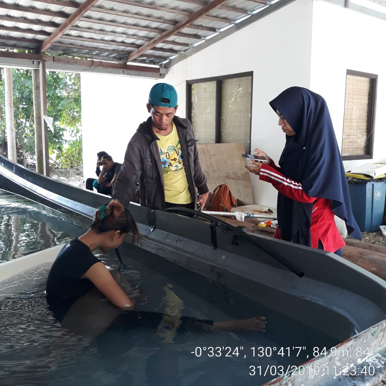 drh. Hidayatun Nisa dari tim flying vet melatih relawan untuk merawat bayi dugong Soredo Resort di Pulau Kri, Raja Ampat, Papua | Foto: Hidayatun Nisa/tim flying vet/Mongabay Indonesia