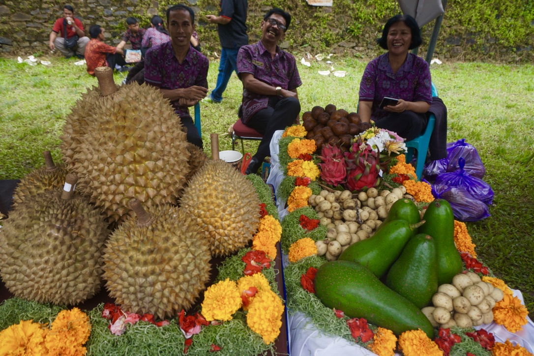  Berbagai jenis buah dalam World Mangosteen Fiesta (WMF),yang digelar pertama kali pada 2019 di Desa Galungan, Sawan, Kabupaten Buleleng, Bali. Buleleng dikenal sentra buah tropis di Bali | Foto: Luh De Suriyani/Mongabay Indonesia 
