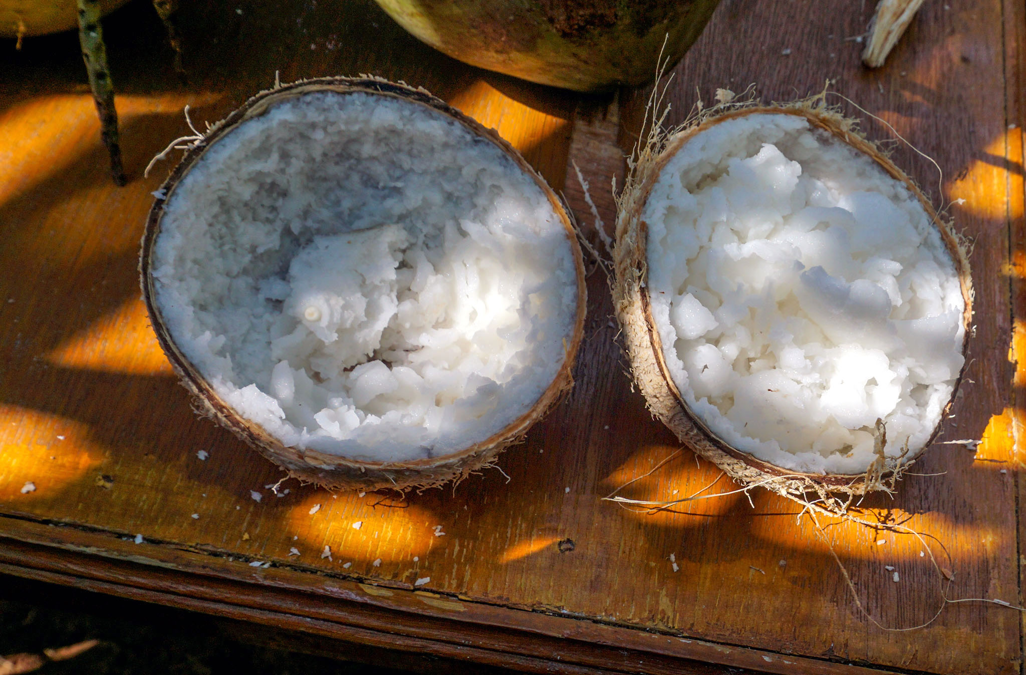 Kelapa kopyor terjadi karena enzim yang membentuk dinding sel tidak lengket. Tetapi rasa kelapa kopyor menyegarkan dan krispi | Foto: L Darmawan/Mongabay Indonesia