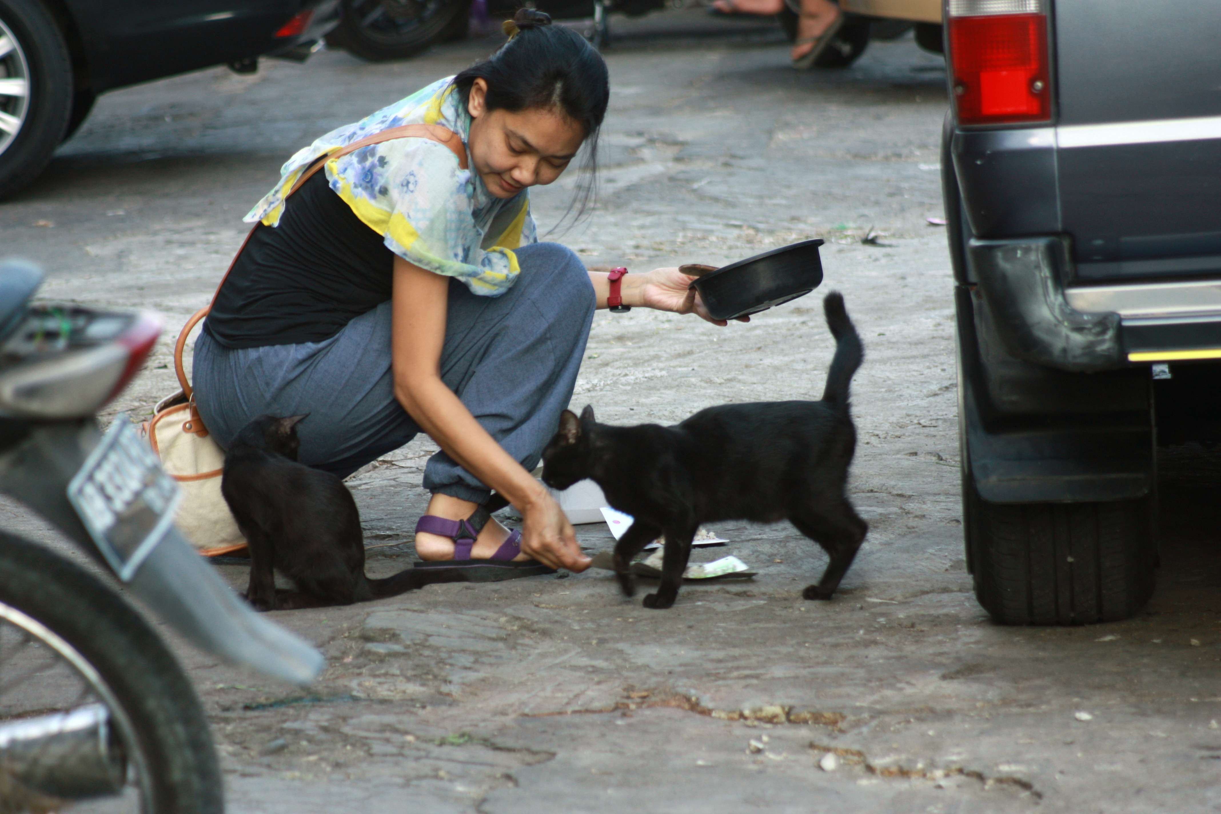 Adriano beri makan kucing liar dekat pasar Foto Nuswantoro Mongabay Indonesia