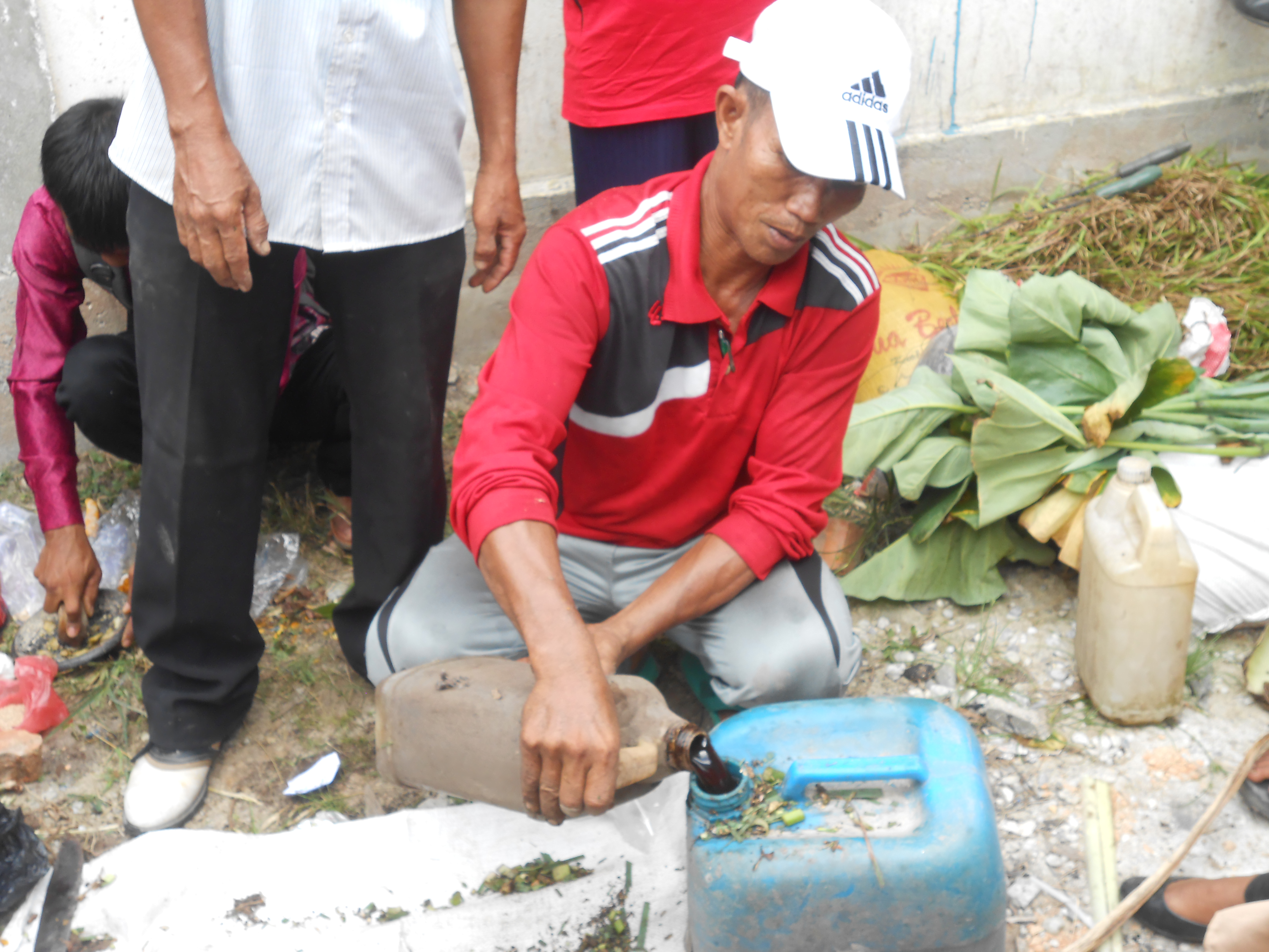 Begini Cara Bertani Di Lahan Yang Sering Tergenang