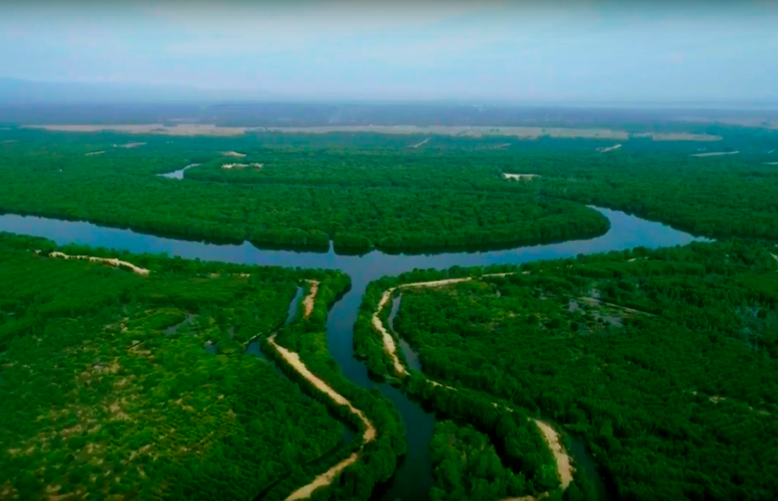 Mangrove di Lubuk Kertang dilihat dari foto udara | Dok: INFIS/Mongabay Indonesia