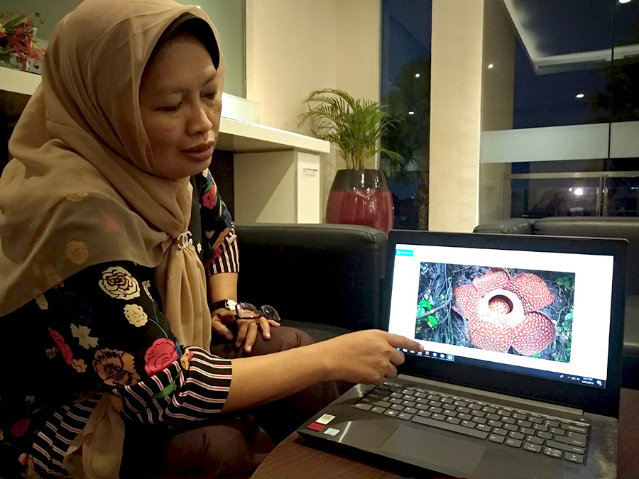  Rafflesia adalah nama yang terukir di hati Sofi Mursidawati | Foto: Fransisca N Tirtaningtyas/Mongabay Indonesia 