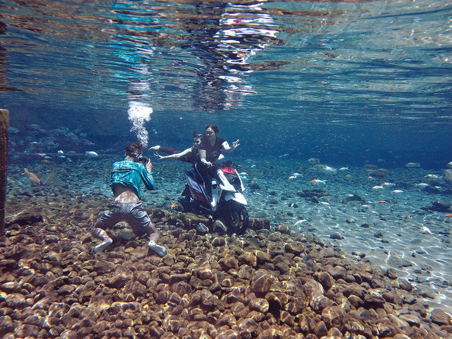  Umbul Ponggok di Desa Ponggok, Polanharjo, Klaten, Jateng. Salah satu aksi favorit di ekowisata ini adalah foto bawah air | Foto: Anton Wisuda/Mongabay Indonesia 