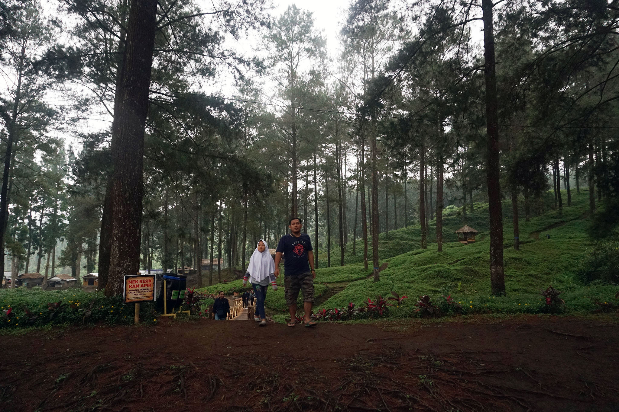 Pengunjung berjalan santai di kawasan hutan wisata hutan pinus, Limpakuwus, Kecamatan Sumbang, kompleks Wana Wisata Baturraden, Banyumas | Foto: L Darmawan/Mongabay Indonesia