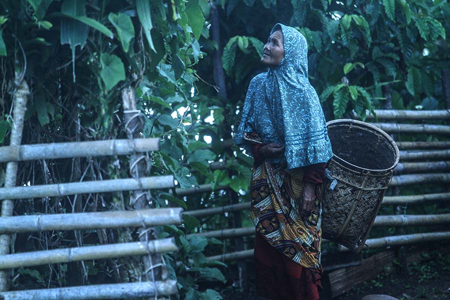 Perempuan Semende akan terlihat bergerak di dusun dan sudut-sudut kehidupan masyarakat | Foto: Nopri Ismi/Mongabay Indonesia