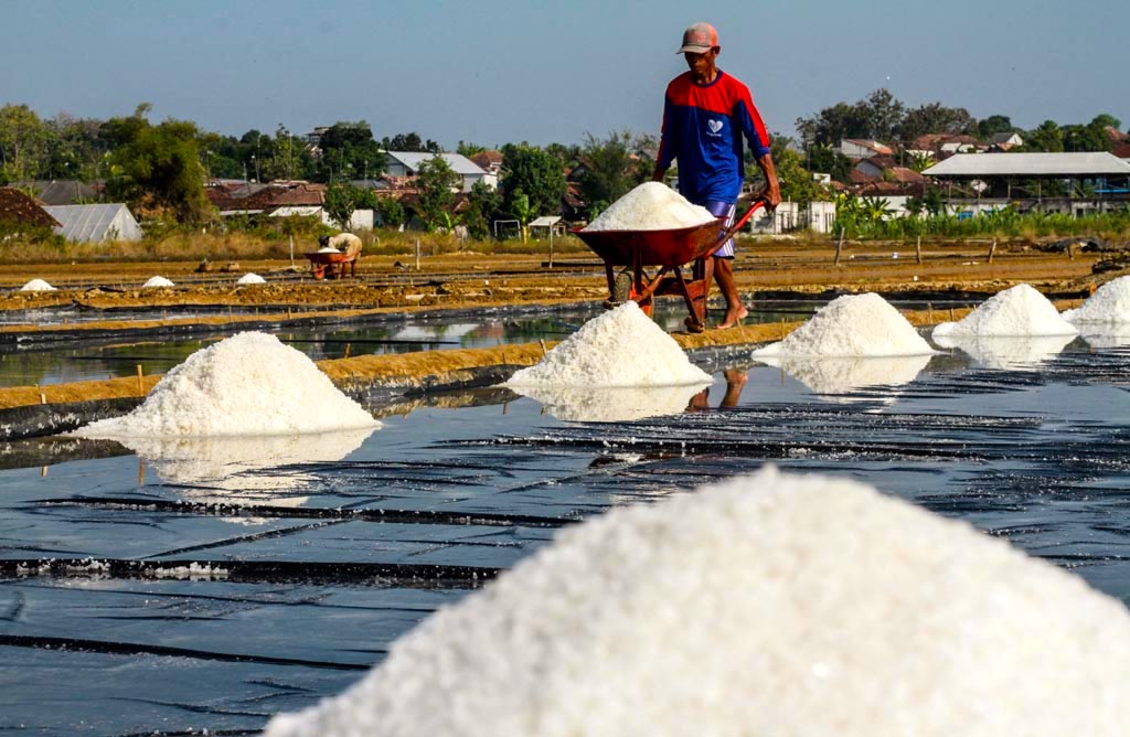 Petani Garam Sumber Energi Yang Digunakan Dan Perubahan Energi Pigura