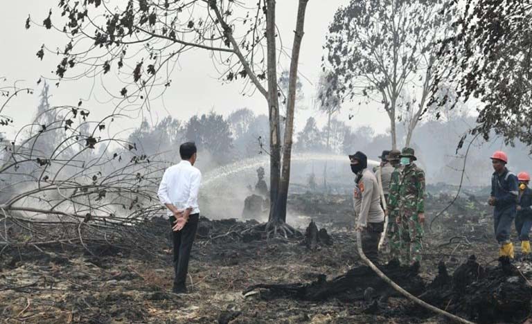 Pemanfaatan sumber daya alam terhadap hutan yang sering menimbulkan permasalahan adalah