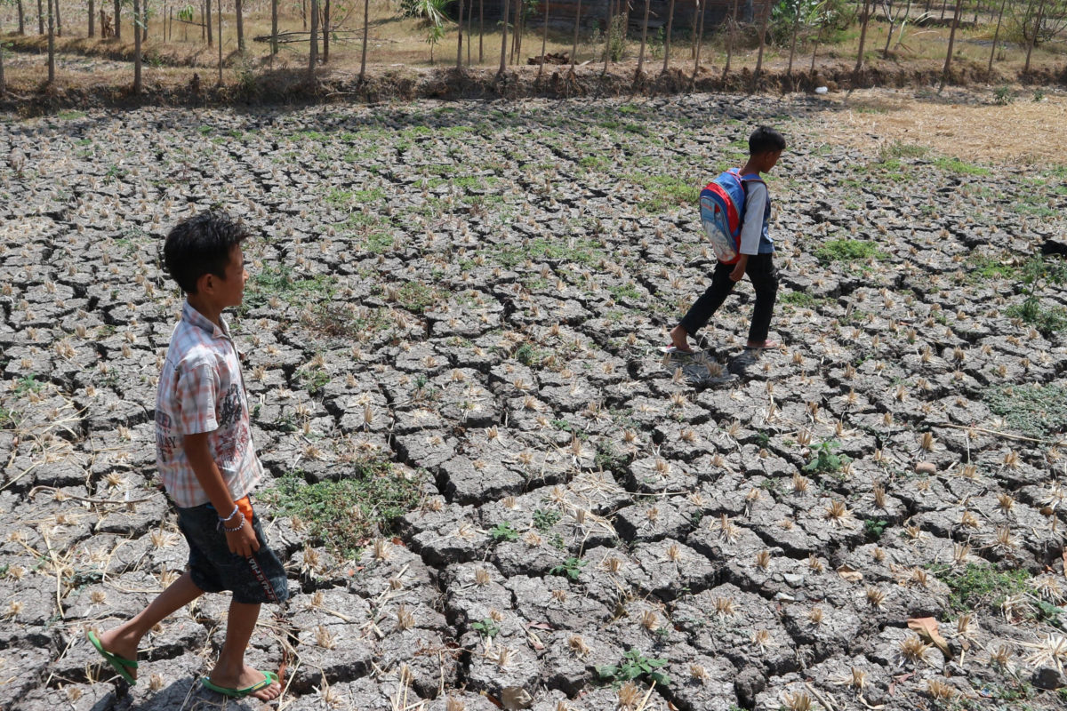 Kemarau Panjang Lombok Krisis Air Dan Gagal Panen 30 Desa Di Sumenep Kekeringan Mongabay Co Id