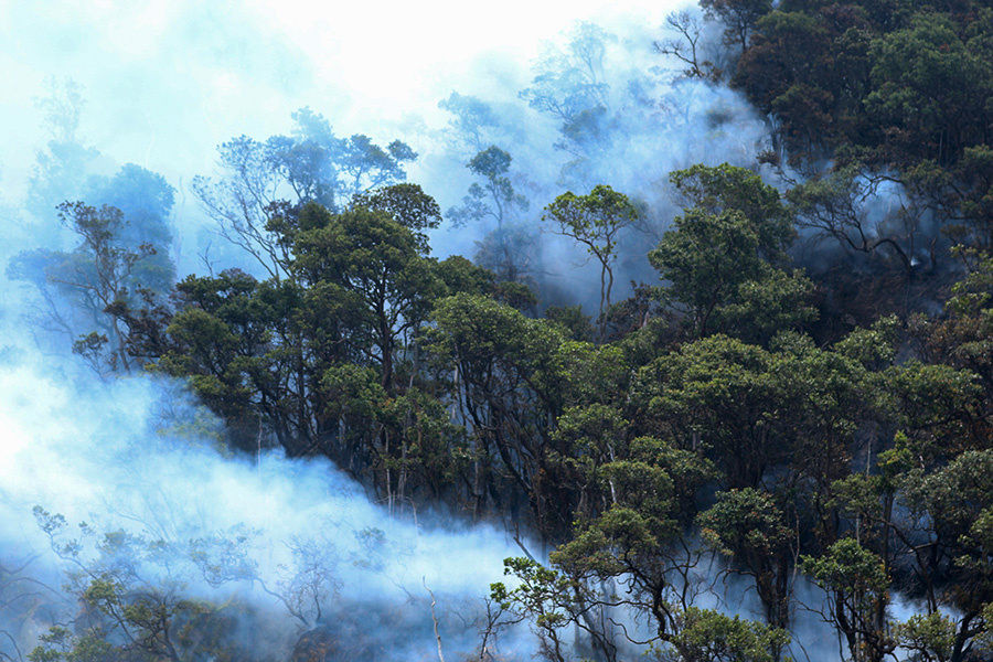 Kebakaran Hutan di Jabar Hilangnya Nilai Kearifan Lokal 